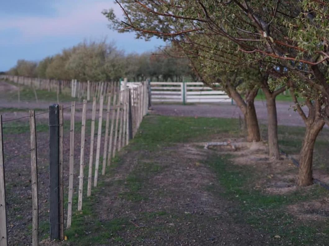 Estancia Tatay Trelew Kültér fotó
